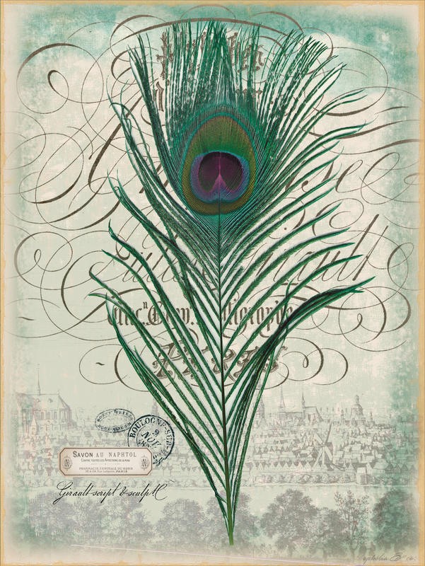 Ophelia & Co, PEACOCK PRIDE II (Pfauenfeder, Pfauenauge,  Kalligrafie, Ornamente, Bäume, Rosen, Nostalgie, Grafik, Wunschgröße, Wohnzimmer, Treppenhaus, bunt)