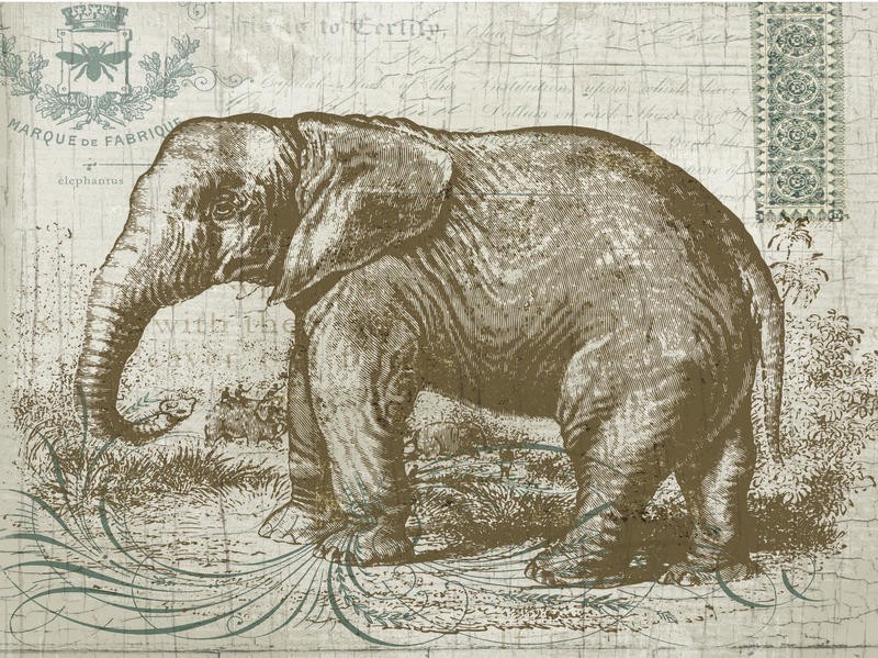Ophelia & Co, SAFARI ELEPHANT I (Elefant, Tier, Großwild, historisch, Grafik, Studie, Nostalgie, Wunschgröße, Treppenhaus, Wohnzimmer, grau)