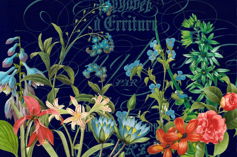 Ophelia & Co, MIDNIGHT GARDEN (Blumen, Blüten, Blütenpracht, Blumengarten, Vintage, Kalligrafie, Nostalgie, Grafik, Wunschgröße, Wohnzimmer, Treppenhaus, bunt)
