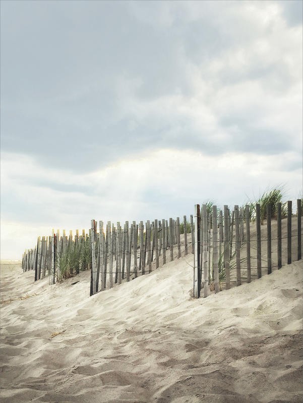 Joseph Rowland, DAWN I (Meer, Sand, Düne, Dünengras, Meeresbrise, Dämmerung, maritim, Zaun, Sandzäune, Fotokunst, Wohnzimmer, Treppenhaus, Wunschgröße, bunt)