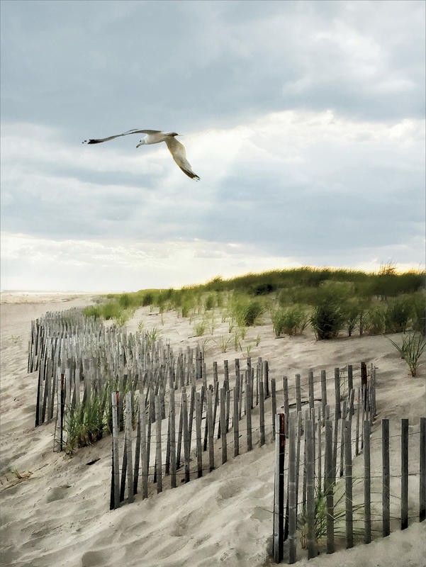 Joseph Rowland, DAWN II (Meer, Sand, Düne, Dünengras, Möwe, Sonnenstrahl, Meeresbrise, maritim, Zaun, Sandzäune, Dämmerung, Wolken, Fotokunst, Wohnzimmer, Treppenhaus, Wunschgröße, bunt)