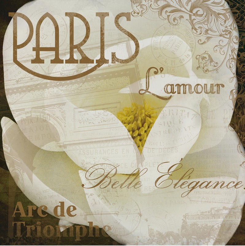 Jace Grey, MAGNOLIA PARIS I (BLUMEN)