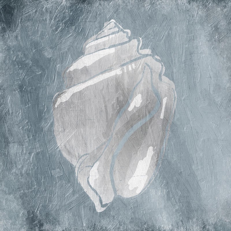 Jace Grey, WHITE SHELLS II (MARITIM)