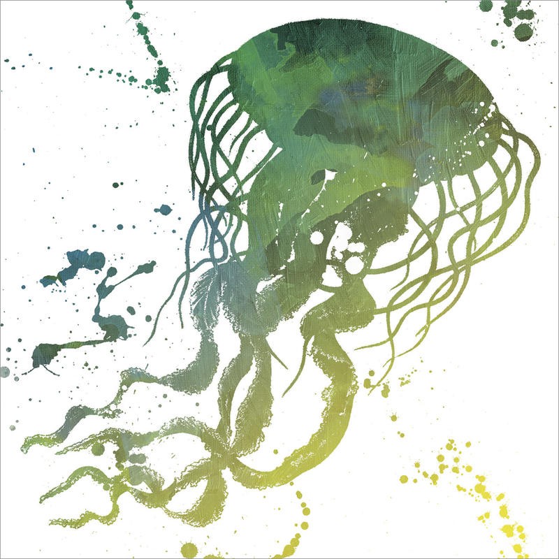 Jace Grey, SPLATTER JELLYFISH (MARITIM)