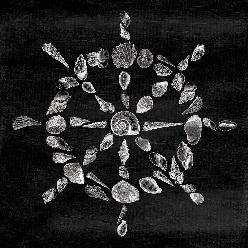 Jace Grey, SHELL WHEEL I (MARITIM)