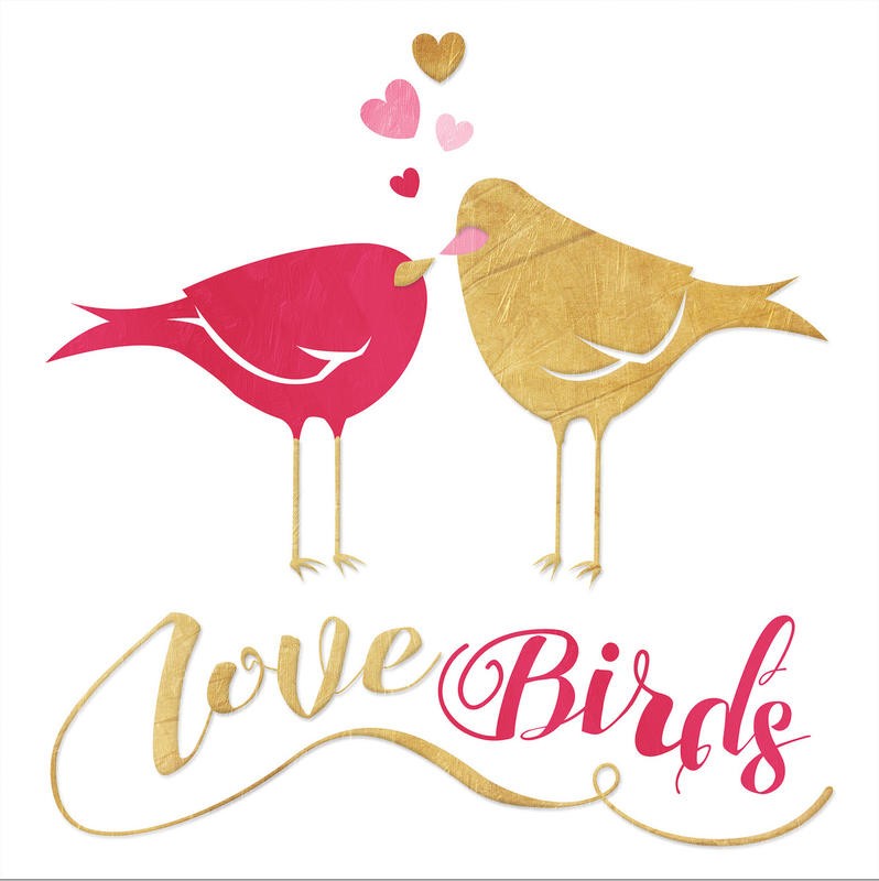Jace Grey, LOVE BIRDS (VALENTINE)