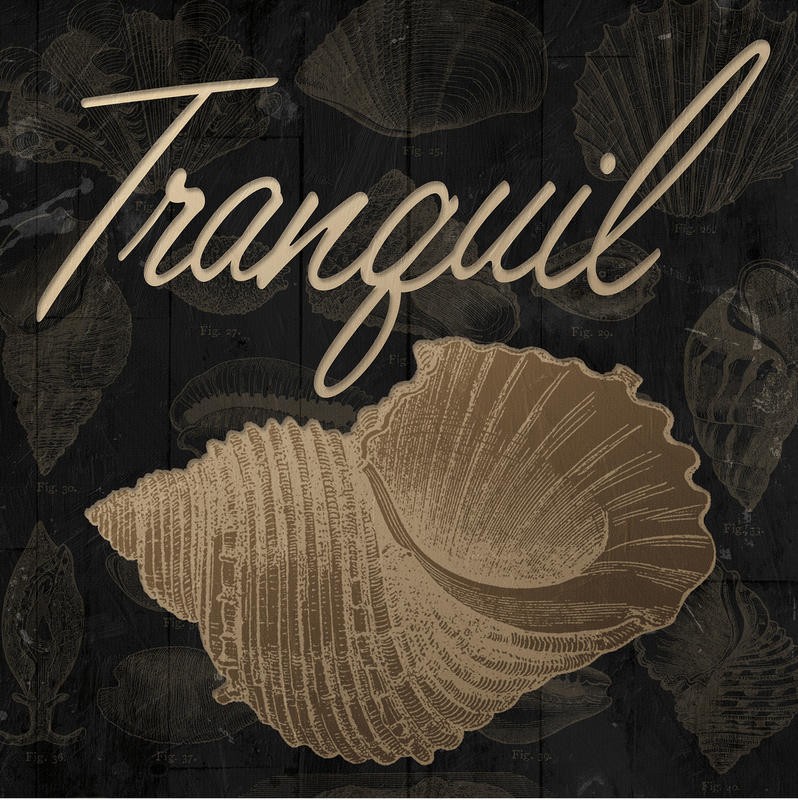 Jace Grey, SHELL TRANQUIL (WELLNESS)