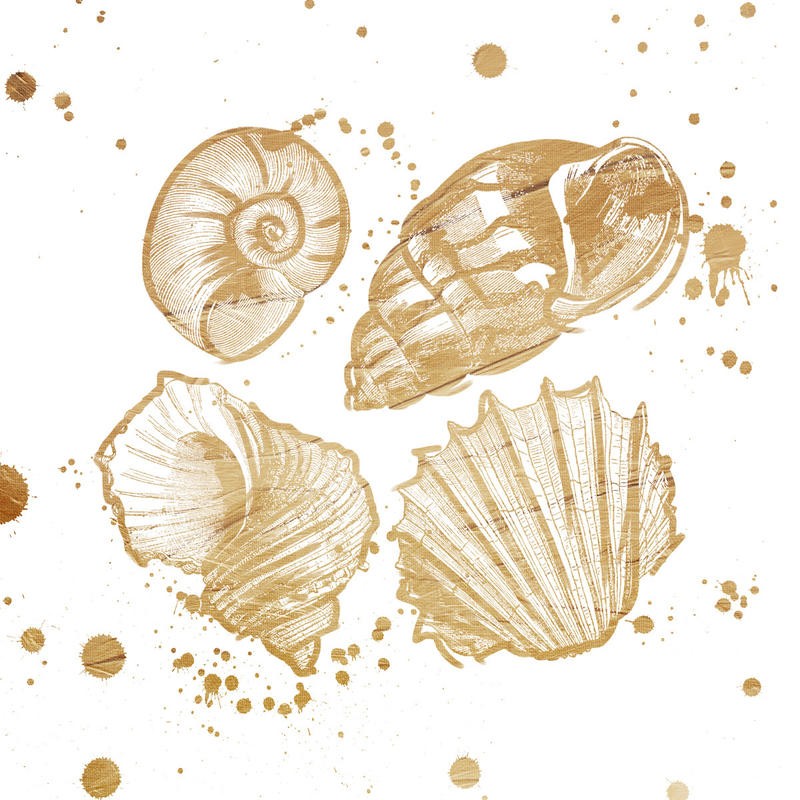 Jace Grey, GOLD SPLATTER SHELLS II (MARITIM)