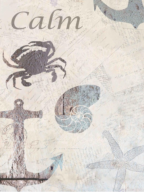 Kimberly Allen, COASTAL CALM (Maritim, Anker, Krebs, Seestern, Schnecke, Grafik, Wohnzimmer, Treppenhaus, Badezimmer, Wunschgröße, beige/grau)