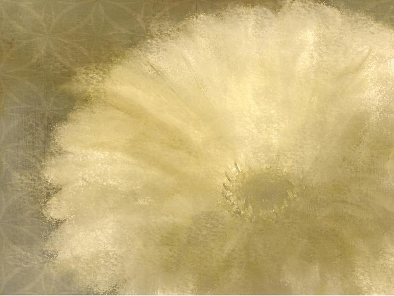 Kimberly Allen, GOLDEN PETALS (Blume, Blüte, Blütenblätter, Nahansicht, Wohnzimmer, Treppenhaus, Schlafzimmer, Malerei, Wunschgröße, weiß)