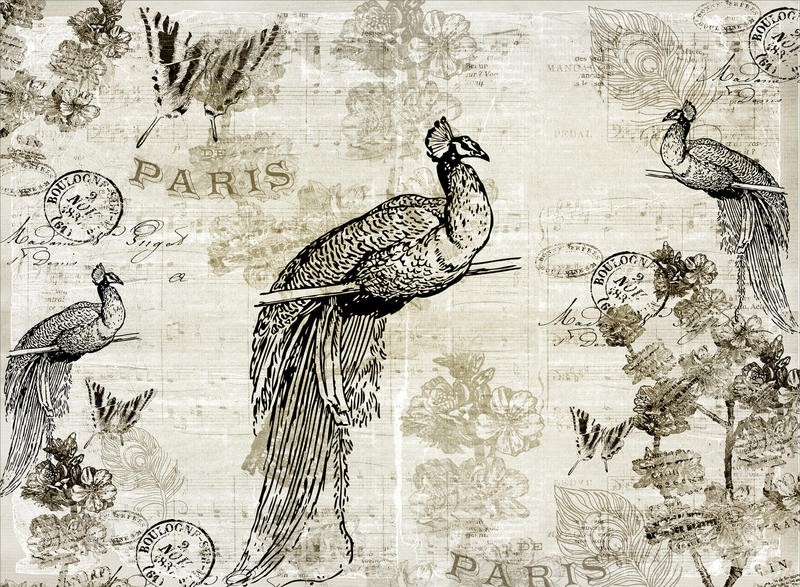 Kimberly Allen, POSTCARD PEACOCK (Pfau, Pfauenfedern, Vogel, Schmetterling, Postkarte, Nostalgie, Grafik, Wohnzimmer, Treppenhaus, Schlafzimmer,  Wunschgröße, schwarz/weiß)