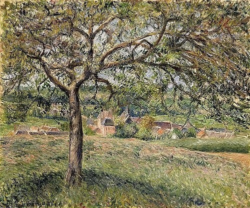 Camille Pissarro, Apfelbaum in Ergany (Pommier à Eragny). 1884 (Pissarro,Camille,1830-1903,Christie's Images Ltd,Öl auf Leinwand,19. Jahrhundert,Impressionismus,camille pissarro,impressionismus,impressionistisch,garten,natur,baum,apfelbaum,sonnig,sonnenlicht,grün,frühling,sommer,landschaft,häuser,dorf,französisch)