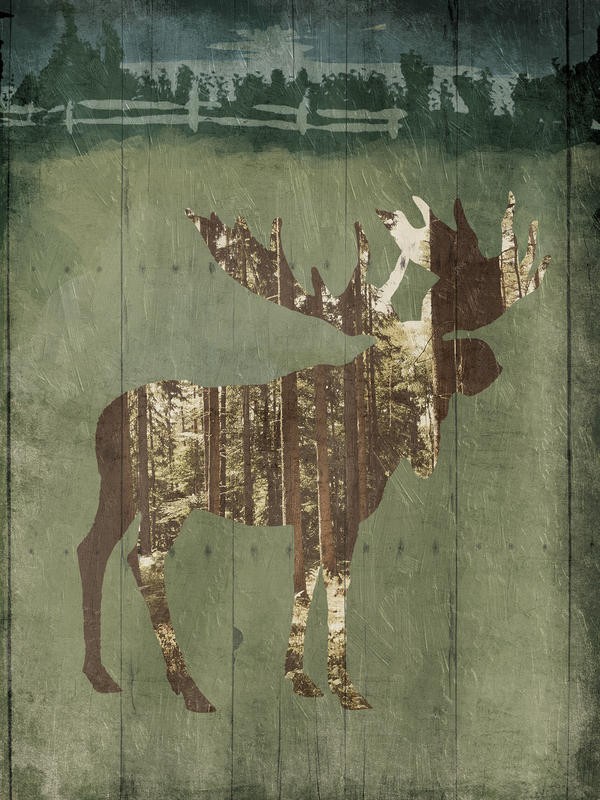 Onrei, IN THE FIELD II (TIERE)