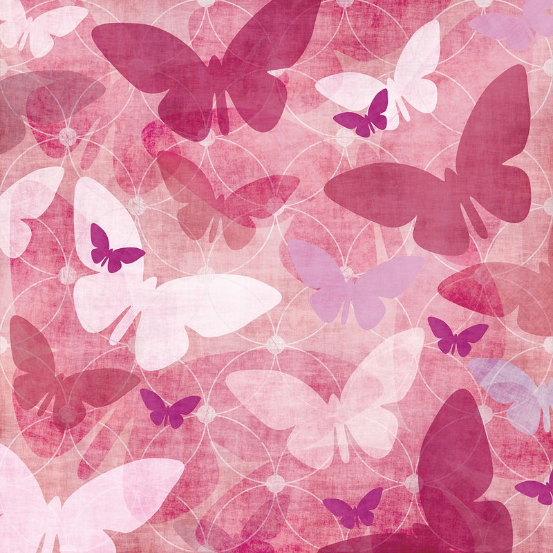 Kristin Emery, PINK BUTTERFLIES II (Schmetterlinge, stilisiert, Muster, Grafik, modern, zeitgenössisch, Wohnzimmer, Treppenhaus, Jugendzimmer, Wunschgröße, rosa/pink)