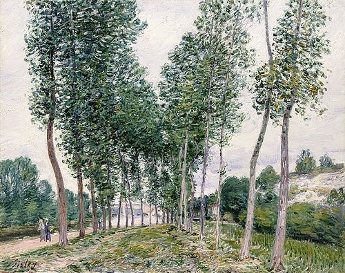 Alfred Sisley, Pappelallee am Ufer des Loing. 1892 (Landschaft, Landschaftsmalerei, Allee, Pappeln, Straße, Bäume,  Frankreich, Idylle, Wohnzimmer, Treppenhaus, Impressionismus, Klassische Moderne, Malerei, Wunschgröße, bunt)