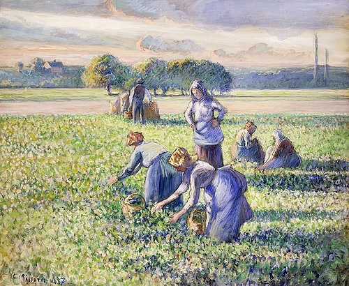 Camille Pissarro, Erbsenernte (La Récolte des Pois). 1887 (Pissarro,Camille,1830-1903,Christie's Images Ltd,Gouache/Papier,19. Jahrhundert,Impressionismus,Camille Pissarro,sich bücken,nach vorne beugen,Frauen,Arbeit,Arbeiterinnen,Feld,Feldarbeit,Ernte,ernten,Aufseherin,Erbsen,pflücken,Landwirtschaft,Landleben,Som)