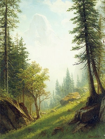 Albert Bierstadt, In den Berner Alpen. (auf Holzplatte montiert,Landschaft,19. Jahrhundert,Öl auf Leinwand,1830-1902,Bierstadt,Albert,Christie's Images Ltd,Albert Bierstadt,Berner Alpen,Schweiz,Baum,Stein,Bäume,Nadelbäume,Natur,Abhang,Landschaft,niemand,Hochformat,friedlich,Stille,still,Ruhe,ru)