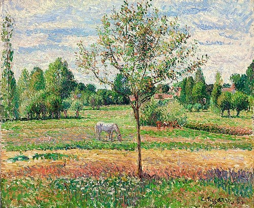 Camille Pissarro, Wiese mit Schimmel, Eragny (Le Pré avec Cheval Gris, Eragny). 1893 (Impressionismus,19. Jahrhundert,Öl auf Leinwand,Christie's Images Ltd,1830-1903,Pissarro,Camille,Camille Pissarro,ländlich,auf dem Land,Eragny,Pferd,Weise,weiden,Weide,Bäumchen,draußen,Frühling,grün, französischer impressionismus)