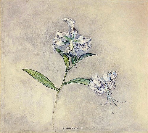 Piet Mondrian, Zwei japanische Lilien (Deux Lilies Japonaises). 1915-24 (Mondrian,Piet,1872-1944,Christie's Images Ltd,Gouache/Aquarell/Bleistift,20. Jahrhundert,auf Papier,Piet Mondrian,zart,Blumen,Blume,Lilie,Lilien,weiß,hell,fragil,Gouache,japanisch,Blatt.Bleistift,Blüte,zwei,Stillleben,Aquarell)