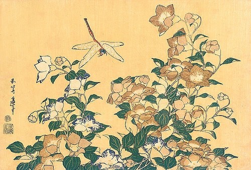 Katsushika Hokusai, Chinesische Glockenblume und Libelle. Aus 'Die große Blumenserie'. (Hokusai,Katsushika,1760-1849,Christie's Images Ltd,19. Jahrhundert,18. Jahrhundert,Katsushika Hokusai,Japan,Asien,Oban yoko-e,Glockenblume,Blumen,Libelle,floral)