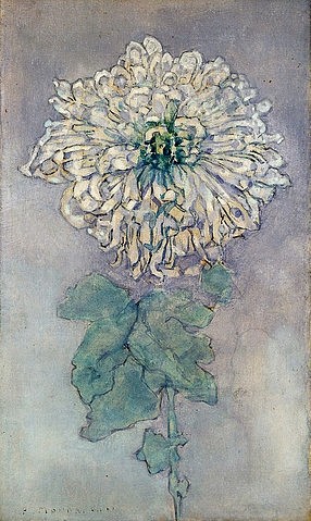 Piet Mondrian, Chrysantheme. Um 1900 (Mondrian,Piet,1872-1944,Christie's Images Ltd,Aquarell,20. Jahrhundert,weiß gehöht,Piet Mondrian,Chrysantheme,Blume,Blüte,grau,Blätter,Blütenblätter,Frühwerk,weiß,Aquarell,zart)