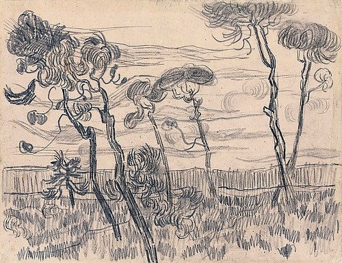 Vincent van Gogh, Sechs Pinien nahe der Einzäunung. 1889 (Gogh,Vincent van,1853-1890,Christie's Images Ltd,Kohle,19. Jahrhundert,Bleistift auf Papier,Vincent van Gogh,1889,Kohle,Zeichnung,Natur,Baum,Bäume,Pinie,Pinien,Einzäunung,Mäuerchen,Wind,windig,niemand,Kiefer,geschlossenes Gelände)