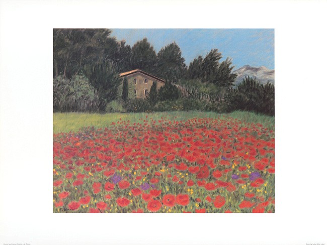 Eleonore Baur-Brinkman, Mohnfeld in der Provence (Mohnblumenfeld, Mohn, Südfrankreich,  Farbenpracht, Landschaft, Blütenpracht,  Wohnzimmer, Arztpraxis, Treppenhaus, Malerei, zeitgenössich, bunt)