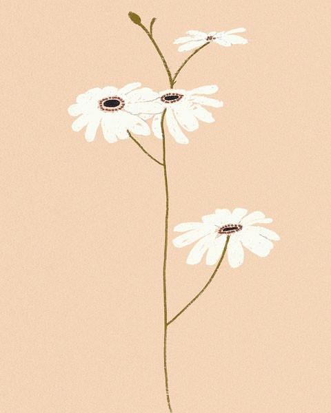 Design Show, SERENE FLORALS I (Grafik, Blumen, Blüten, Blumenstängel, Wunschgröße, Wohnzimmer, Treppenhaus ,pastell)