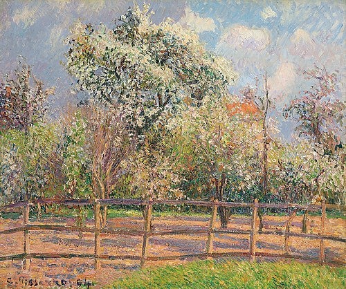 Camille Pissarro, Blühende Birnbäume, Eragny (Poiriers en fleur, Eragny). 1894 (Landschaft,Impressionismus,19. Jahrhundert,Pissarro,Camille,1830-1903,Öl auf Leinwand,Christie's Images Ltd,Camille Pissarro,Birnenblüte,1894,Blüte,blühen,Frühling,Obstbäume,Obstgarten,Eragny,Zaun,Birnbaum,Birnenbaum,Birnenbäume,Birnbäume,Bäume,heiter, fr)