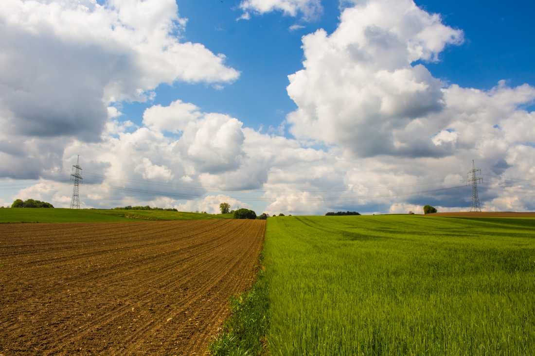 Conny Krakowski, Felder im Licht (Felder, Landwirtschaft, getrennt, Sommer, Stille, Ruhe, Landleben,  Fotografie)