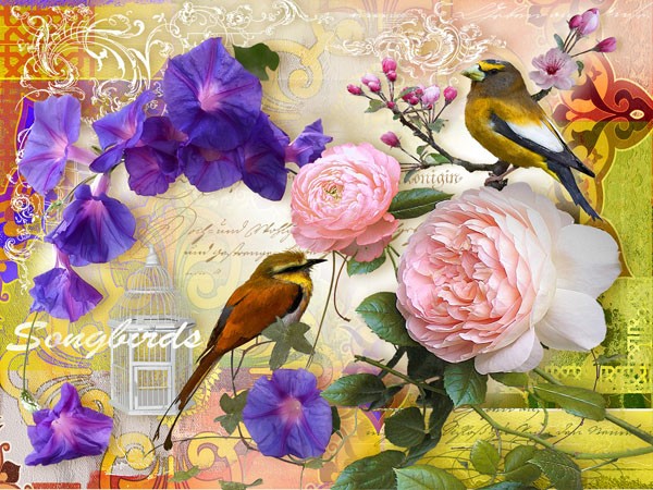 Isa Florenti, SONGBIRDS (Blumen, Blüten, Vogel, Singvogel, Ornamente, romantisch, Nostalgie, Wunschgröße, Schlafzimmer, Treppenhaus, bunt)