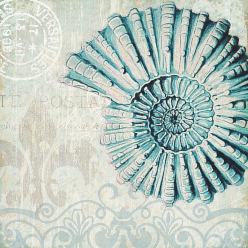 Kimberly Allen, Under the Sea 2 (Meeresschnecke, Schneckenhaus, Muster, Arabeske, maritim, Nostalgie, Grafik, Treppenhaus, Badezimmer, Wohnzimmer, Wunschgröße, blau, grau)