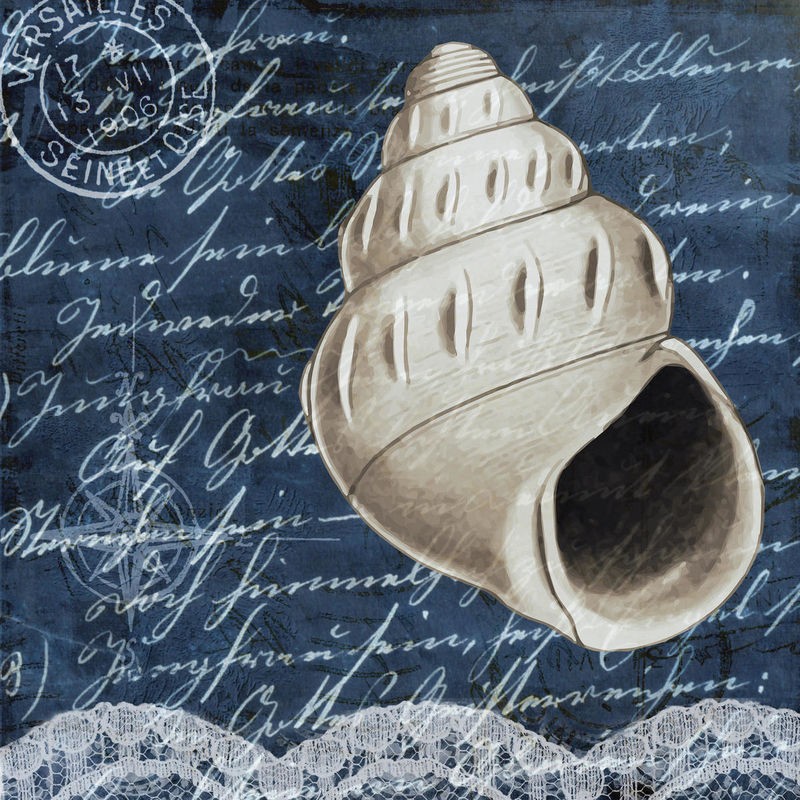 Kimberly Allen, Shell Dreams 2 (Meeresschnecke, Schneckenhaus, Muster, Kalligrafie, Schriftzüge, maritim, Nostalgie, Grafik, Treppenhaus, Badezimmer, Wohnzimmer, Wunschgröße, blau, grau)