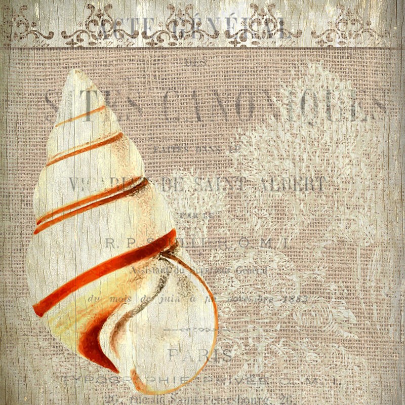 Kimberly Allen, Coastal Dreams 1 (Meeresschnecke, Schneckenhaus, Muster, Kalligrafie, Schriftzüge, maritim, Nostalgie, Grafik, Treppenhaus, Badezimmer, Wohnzimmer, Wunschgröße, beige)