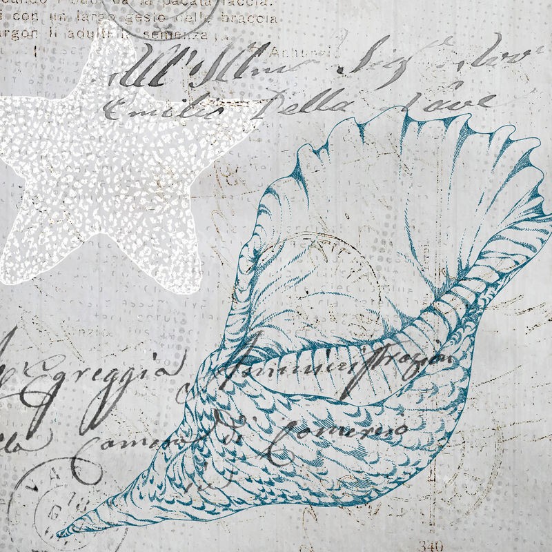 Kimberly Allen, Vintage Shells 1 (Meeresschnecke, Schneckenhaus, Muster, Kalligrafie, Schriftzüge, maritim, Nostalgie, Grafik, Treppenhaus, Badezimmer, Wohnzimmer, Wunschgröße, beige/blau)