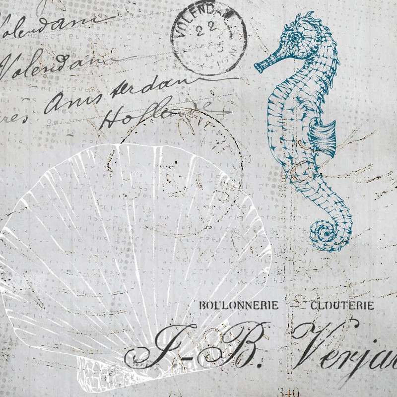 Kimberly Allen, Vintage Shells 2 (Seepferdchen, Meerestier,  Kalligrafie, Schriftzüge, maritim, Nostalgie, Grafik,   Treppenhaus, Badezimmer, Wohnzimmer, Wunschgröße, beige/blau)