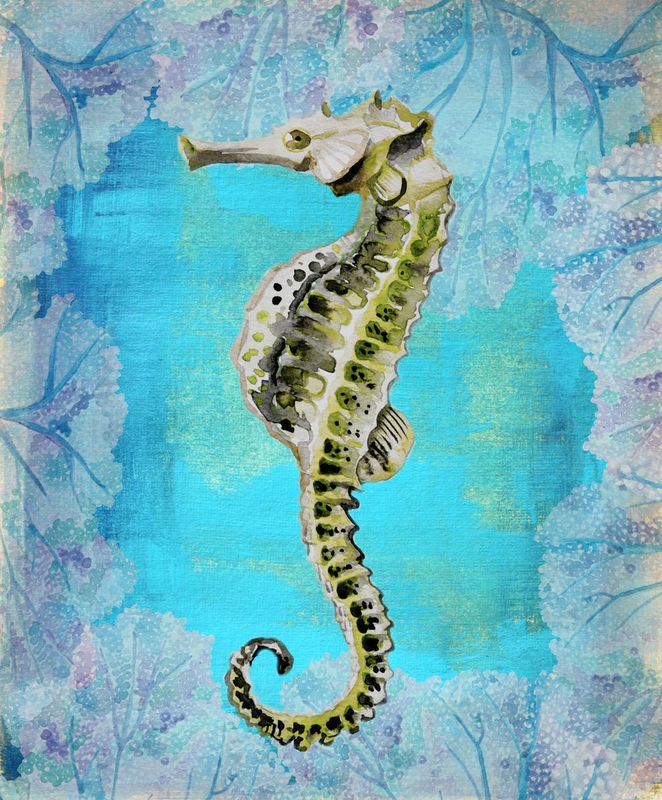 Boho Hue Studio, Seahorse Portrait (Seepferdchen, Meerestier, Tierportrait, maritim, florale Muster, Badezimmer, Treppenhaus, Wunschgröße, bunt)
