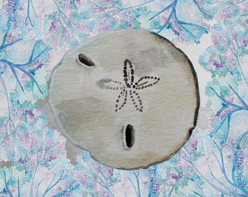 Boho Hue Studio, Sand Dollar (Scheibe, Kalk, Seeigel, florale Muster,  maritim, Badezimmer, Treppenhaus, Wunschgröße, bunt)