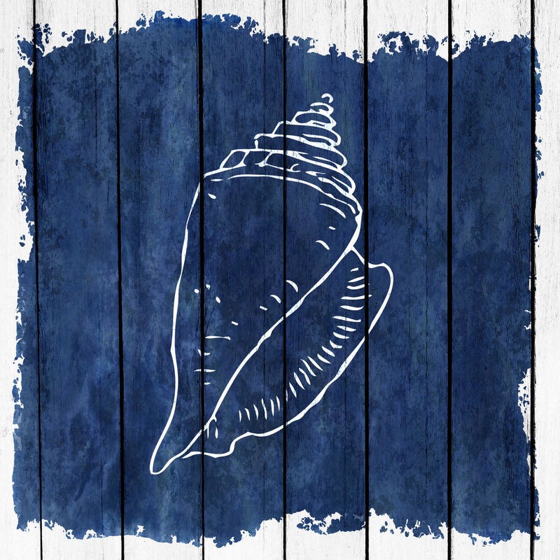 Kimberly Allen, Coastal 1 (Meereschnecke, Holzpanel, Meerestier, maritim, Grafik,  Treppenhaus, Badezimmer, Wohnzimmer, Wunschgröße, blau/weiß)