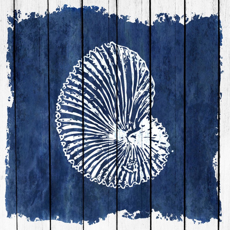 Kimberly Allen, Coastal 3 (Nautilus, Perlboot, Holzpanel, Meerestier, maritim, Grafik,  Treppenhaus, Badezimmer, Wohnzimmer, Wunschgröße, blau/weiß)