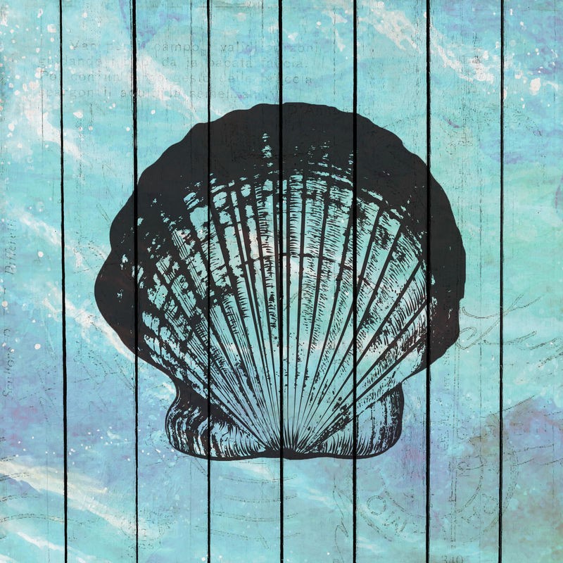 Kimberly Allen, Sea Time 1 (Muschel, Jakobsmuschel, Holzpanel, Meerestier, maritim, Grafik,  Treppenhaus, Badezimmer, Wohnzimmer, Wunschgröße, hellblau/grau)