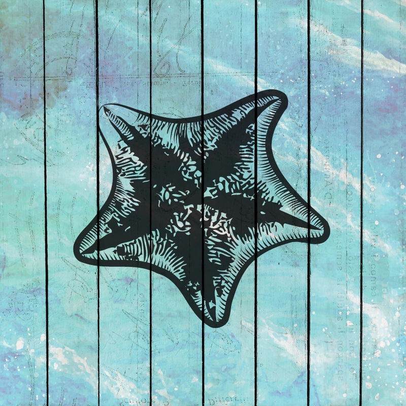 Kimberly Allen, Sea Time 3 (Seestern, Holzpanel, Meerestier, maritim, Grafik,  Treppenhaus, Badezimmer, Wohnzimmer, Wunschgröße, hellblau/grau)