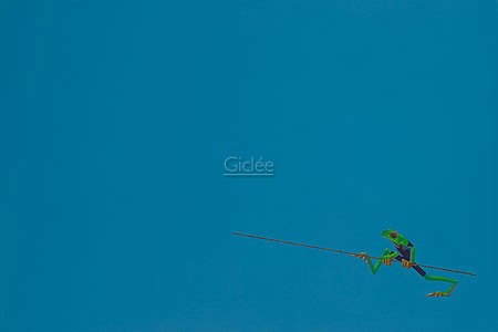 Jasper Oostland, Pole (Malerei, Sport, Frosch, sportlicher Frosche, Stabhochsprung, Leichtathletik, witzig, Lustig, Fitness, comic, Sportstudio, blau / bunt)