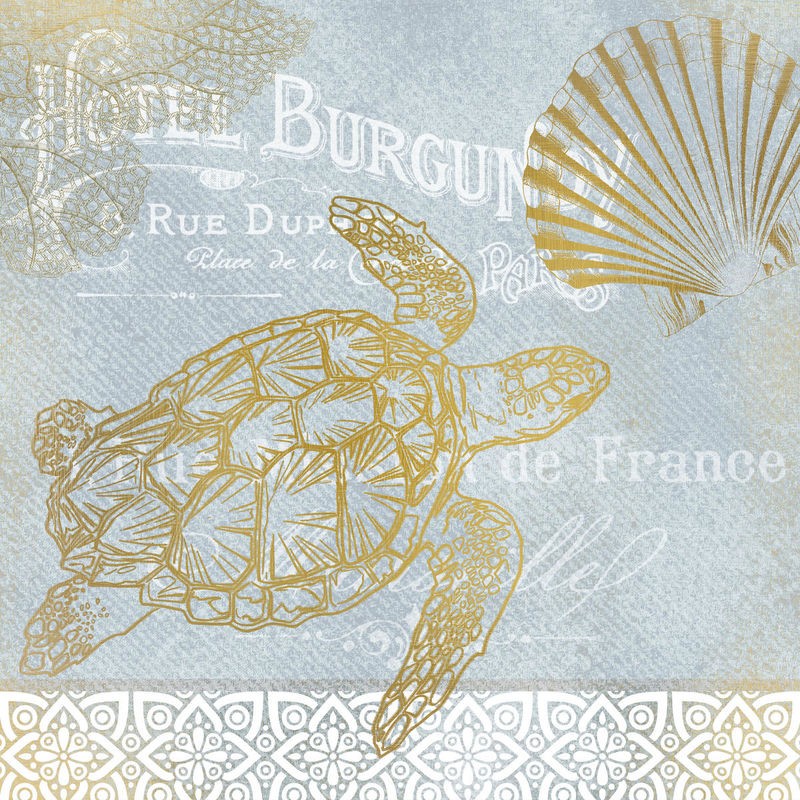 Kimberly Allen, Azure Coastal Calm 3 (Wasserschildkröte, Jakobsmuschel, Meerestier, Kalligrafie, Schriftzüge, maritim, Ornamente, Nostalgie, Grafik,  Treppenhaus, Badezimmer, Wohnzimmer, Wunschgröße, gold/grau)