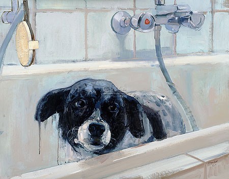 Pieter Pander, Stip in bath (Malerei, Tiere, Tierportrait, Hund,Badewanne, nasser Hund, Baden,  Badezimmer, bunt)