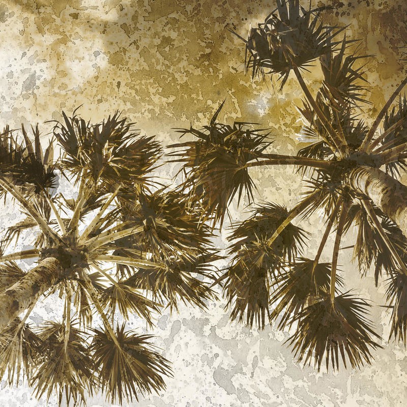 Kimberly Allen, Palm Tree Gold 2 (Palmenblätter, Palme, Baum, Untersicht, Perspektive, Fotokunst, Treppenhaus, Badezimmer, Wohnzimmer, Wunschgröße, beige/grau)