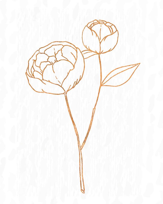 Kimberly Allen, Copper Botanical 1 (Blumen, Blüten, Knospen, Zeichnung, Studie, Grafik,  Wohnzimmer, Treppenhaus, Büro, Wunschgröße, beige/kupfer)