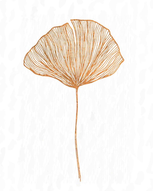 Kimberly Allen, Copper Botanical 3 (Blatt, Ginkoblatt, Zeichnung, Studie, Botanik, Grafik,  Wohnzimmer, Treppenhaus, Büro, Wunschgröße, beige/kupfer)