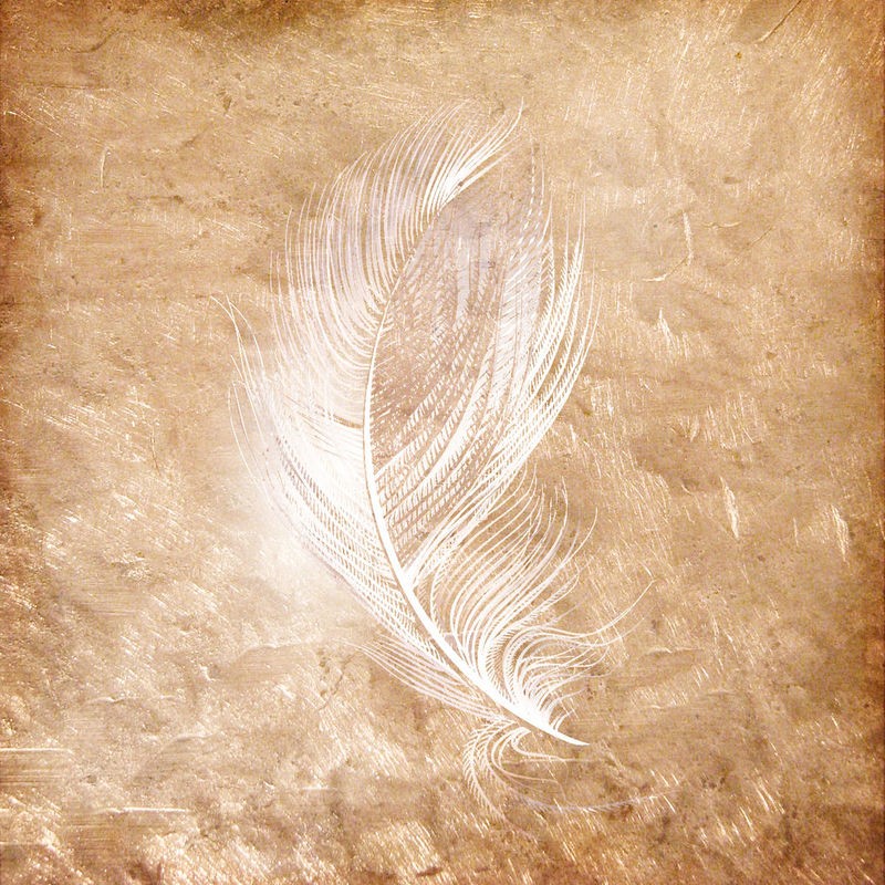 Kimberly Allen, Copper Feathered 2 (Feder, Vogelfeder, abstrakt, Grafik,  Wohnzimmer, Treppenhaus, Büro, Wunschgröße, kupfer)