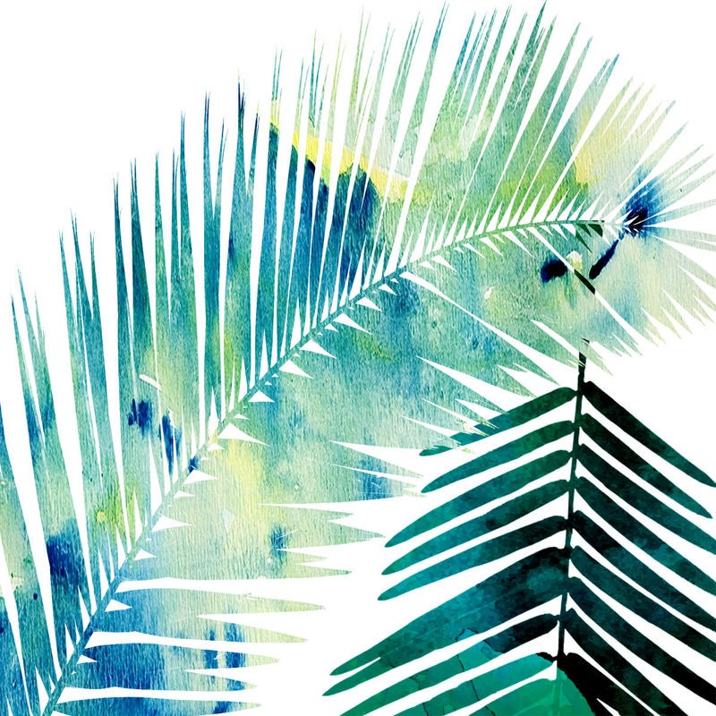 Sheldon Lewis, Watercolor Burst 2 (Blatt, Federblatt, Lanzettblätter, Botanik, Aquarell, Wohnzimmer, Treppenhaus, Wunschgröße, grün/weiß)